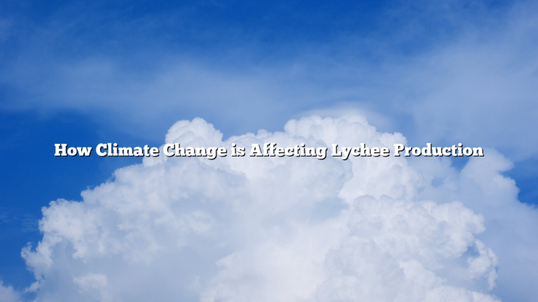 How Climate Change is Affecting Lychee Production